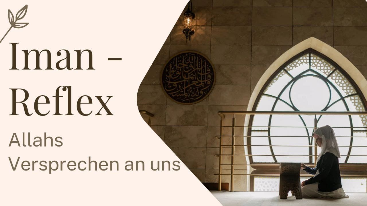 Der Iman-Reflex