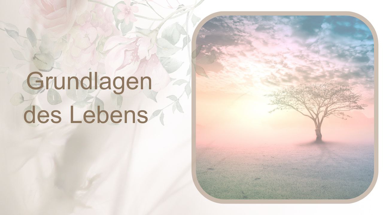 Grundlagen des Lebens